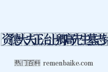 资德大夫正治上卿高先生墓志铭是什么意思的图片